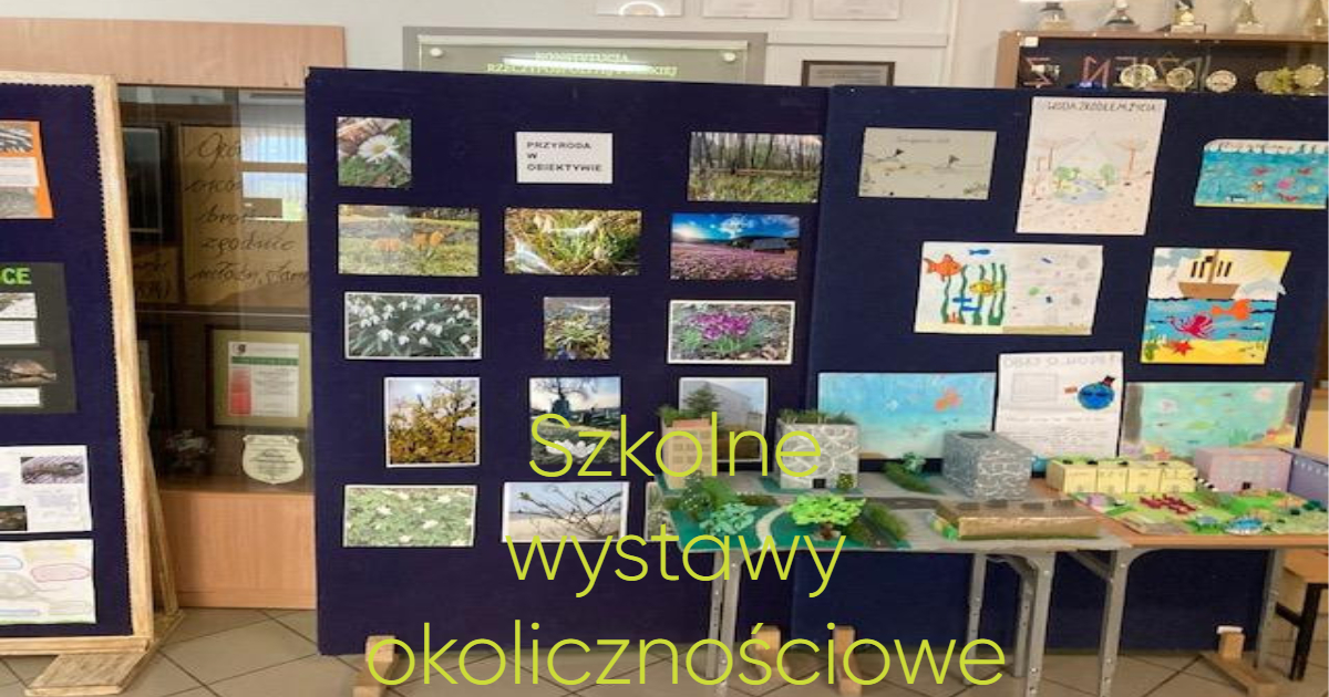 działania ekologiczne w szkole