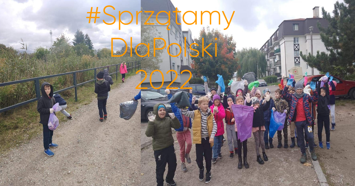 działania ekologiczne w szkole