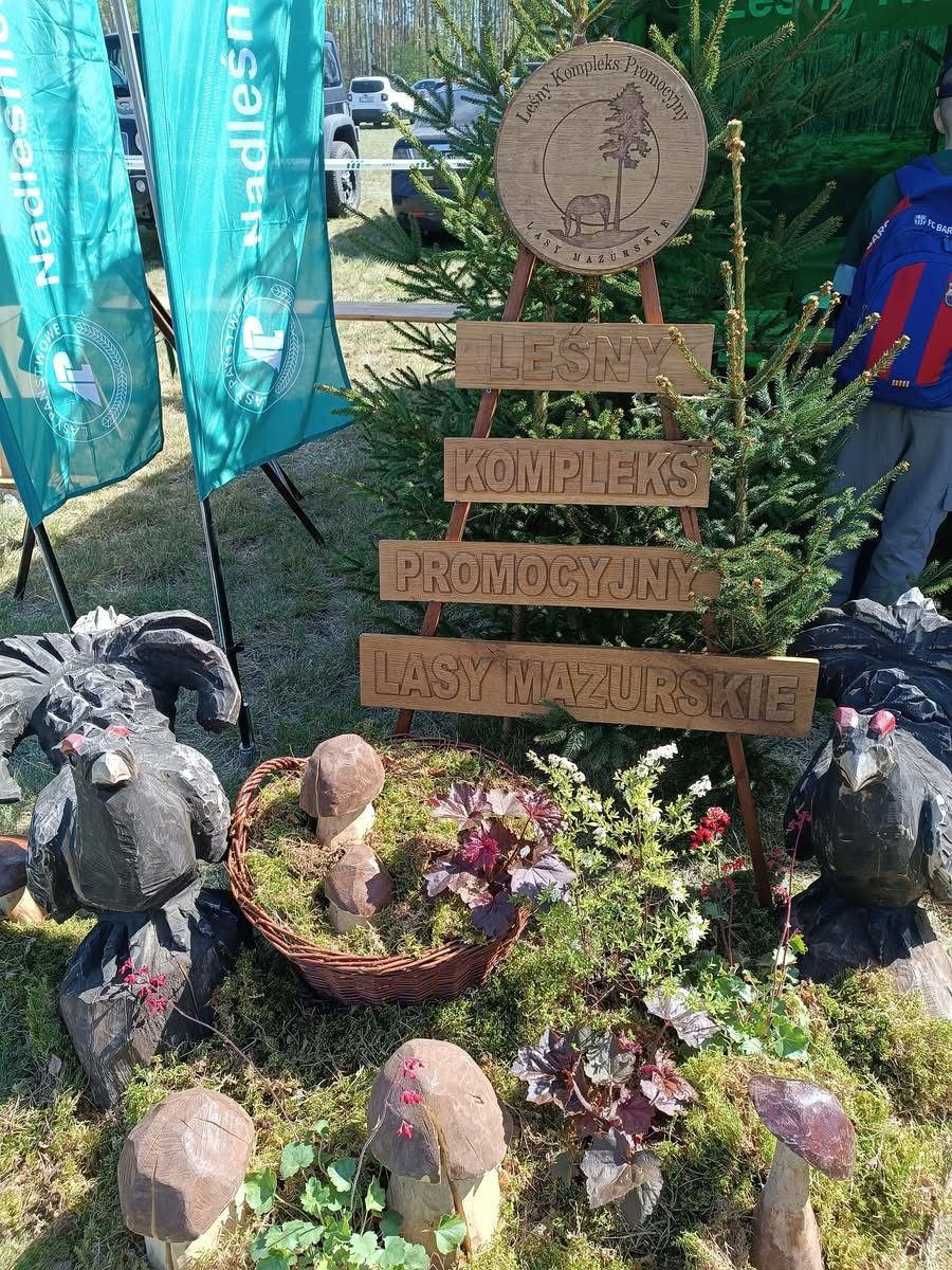 Święto Lasu